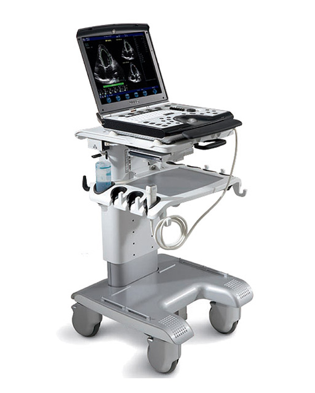 Ecograful GE Vivid q